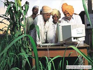 Software-to-assist-and-warn-Indian-Farmers-on-crop-diseases