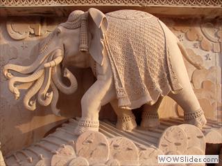 elephant07f