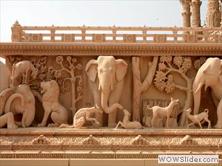 elephant08f