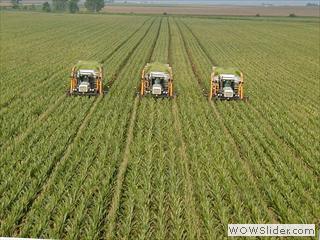 green_revolution_pic_oecotextiles_wp